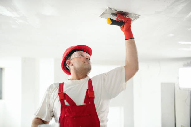 Asbestos and Lead Testing During Mold Inspection in Karns, TN